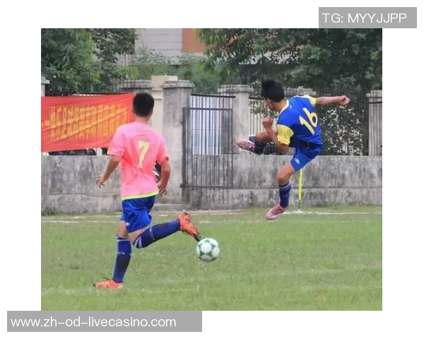 秦皇岛足球学校培养未来之星助力青少年足球梦想的摇篮