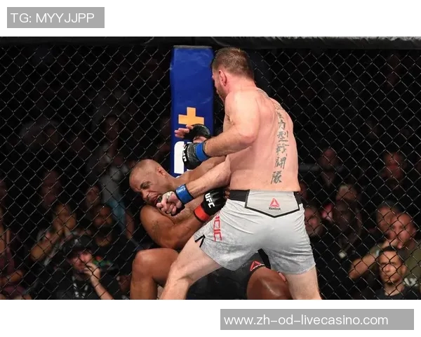UFC凯恩与米欧奇的巅峰对决谁能问鼎重量级冠军宝座